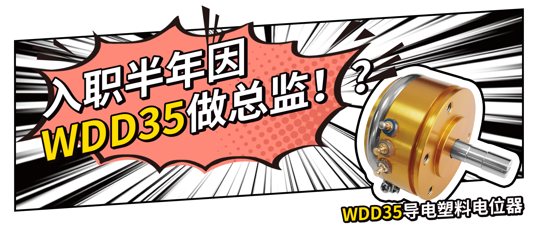 入職半年因WDD35做總監(jiān)？！